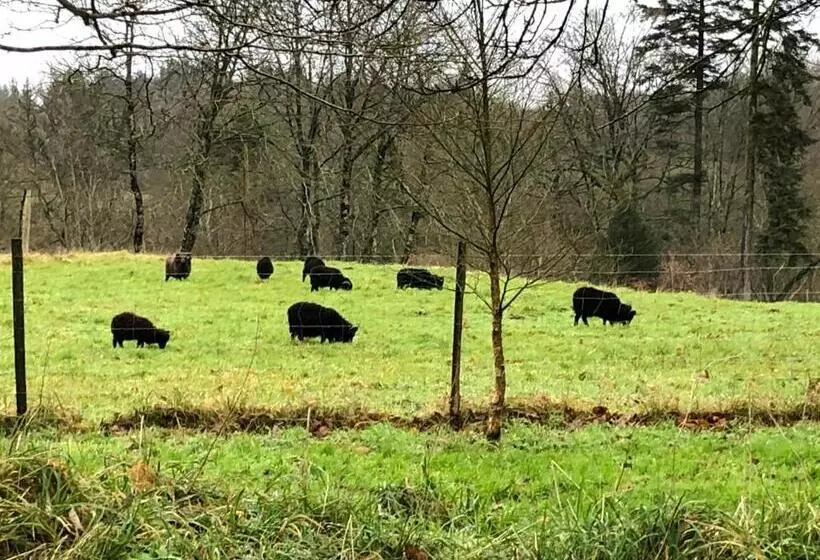 Aamiaismajoitus (B&B) Manoir De Botcol