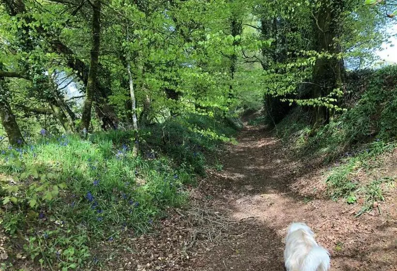 Aamiaismajoitus (B&B) Manoir De Botcol