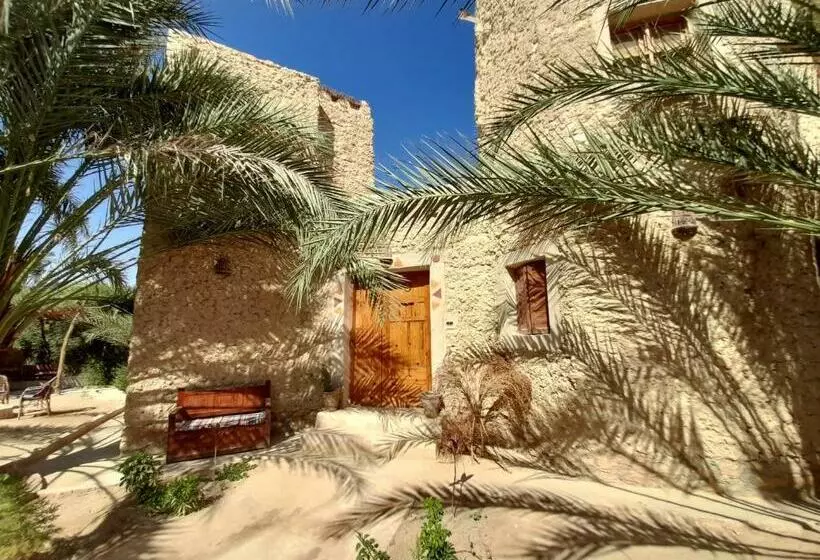 پانسیون Sleep In Siwa