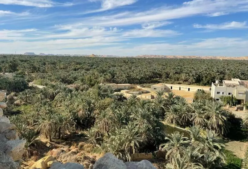 پانسیون Sleep In Siwa