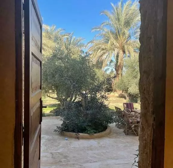 پانسیون Sleep In Siwa