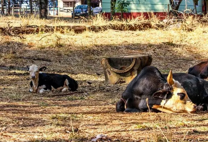 ホテル Fazenda Vale Das Grutas