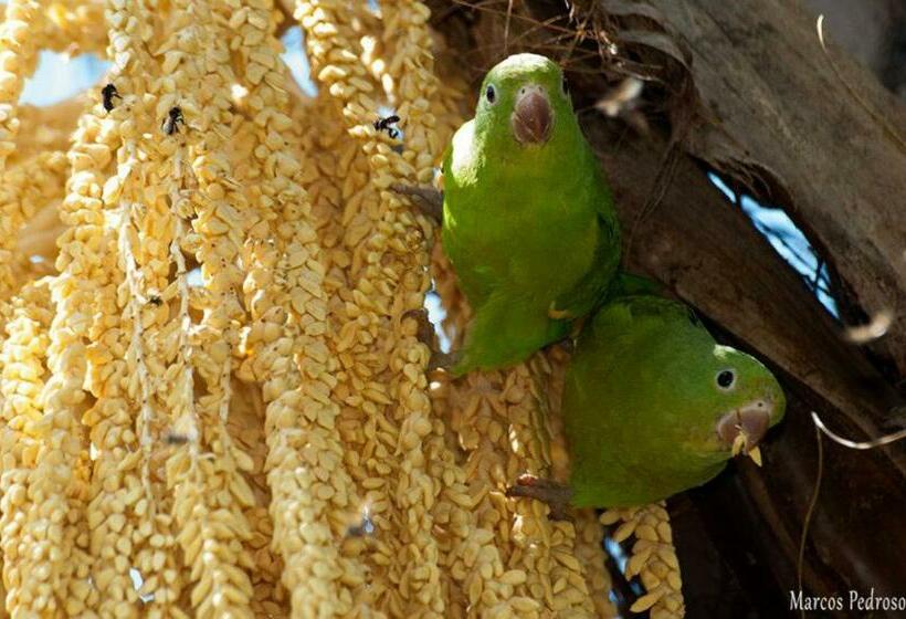 Hotel Fazenda Vale Das Grutas