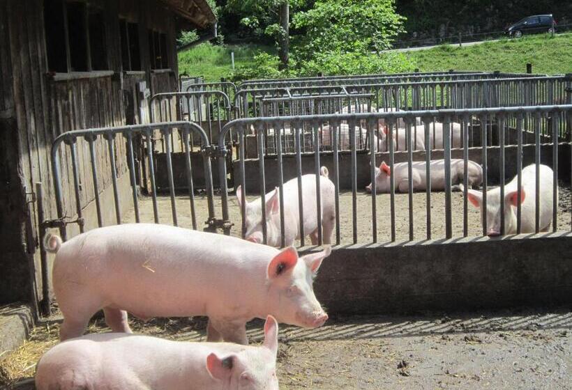 مبيت وإفطار Gast Und Hof Spittel