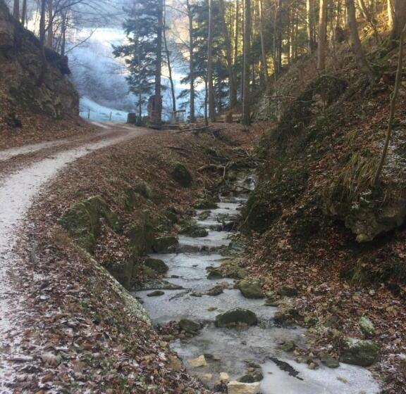 مبيت وإفطار Gast Und Hof Spittel