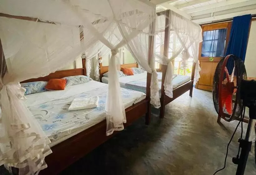 Aamiaismajoitus (B&B) Vitamin Sea Beach Cabana