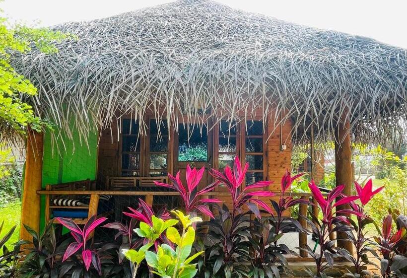 צימר Vitamin Sea Beach Cabana