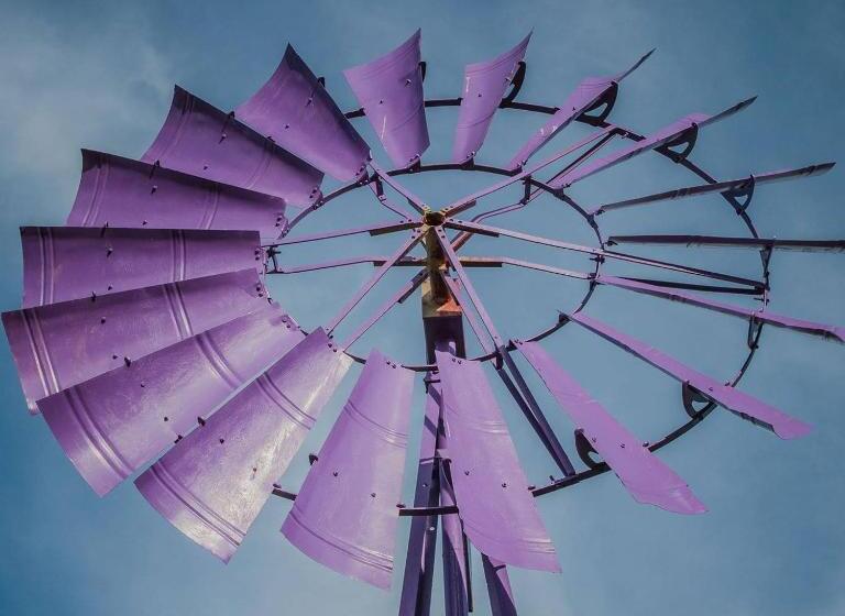 بنسيون The Purple Windmill