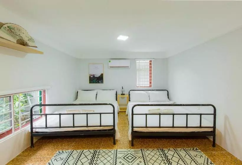 تختخواب و صبحانه Tùng Homestay