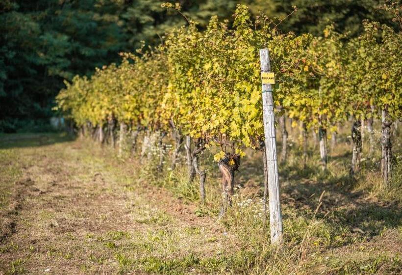 Buccara B&b Due Del Monte