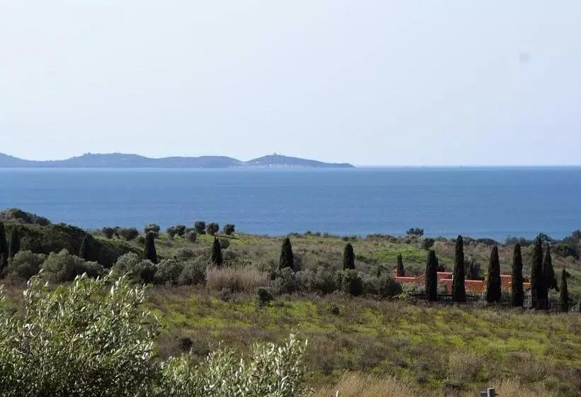 ホテル Agriturismo Poggio All Olivo