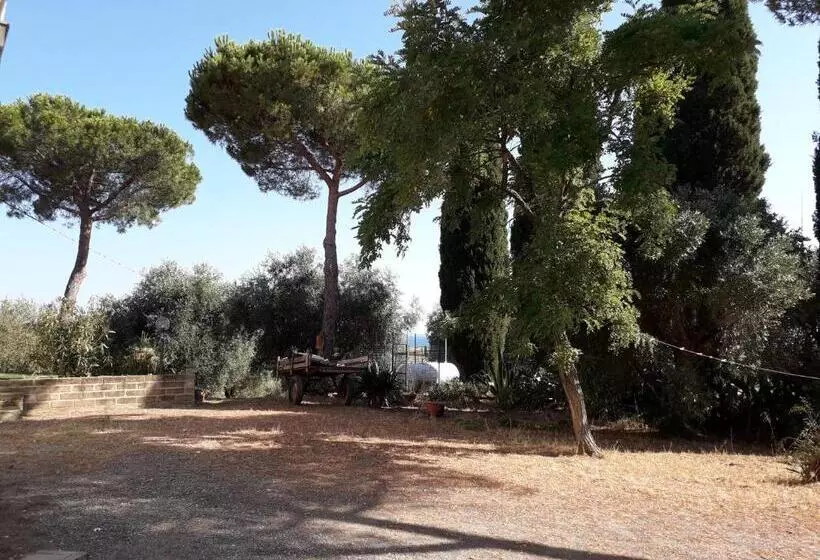 ホテル Agriturismo Poggio All Olivo
