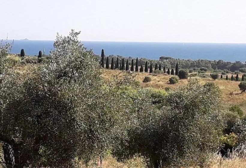 ホテル Agriturismo Poggio All Olivo