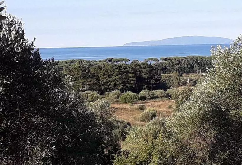 ホテル Agriturismo Poggio All Olivo