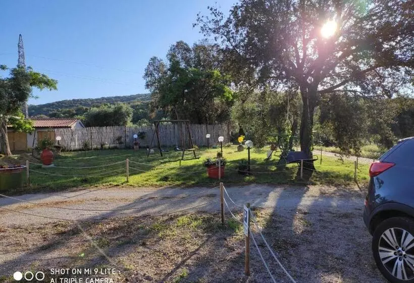 ホテル Agriturismo Poggio All Olivo