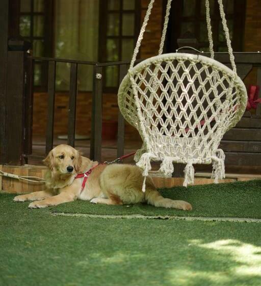 فندق Royal Swiss Cottage