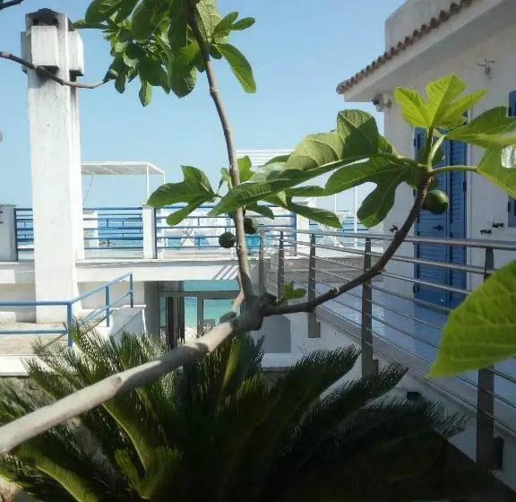 B&b Conca Del Faro