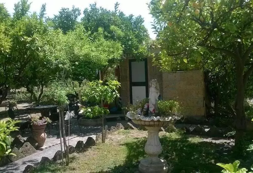 B&b La Palma