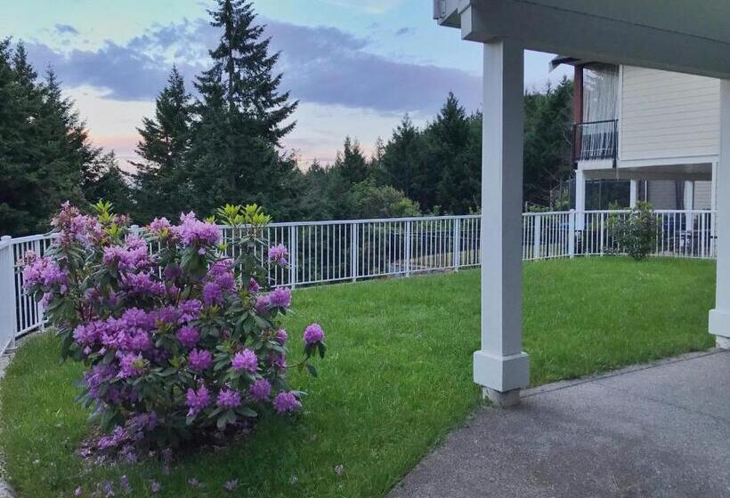 住宿加早餐  Oasis