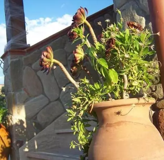 Eclissi B&b