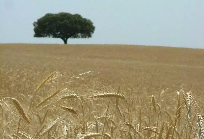 ペンション Hospedaria A Italiana