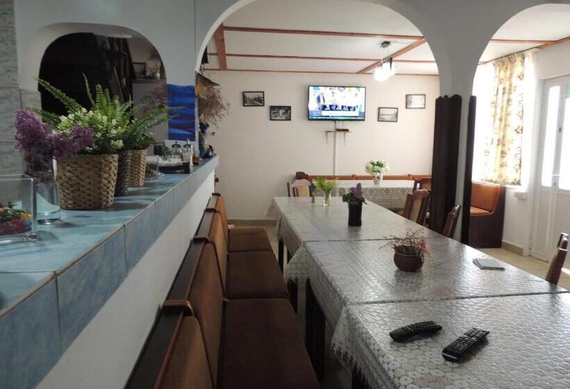 Pensiunea Iulia Sulina