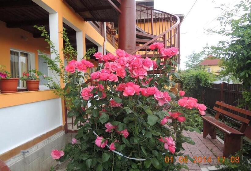 Pensiunea Iulia Sulina