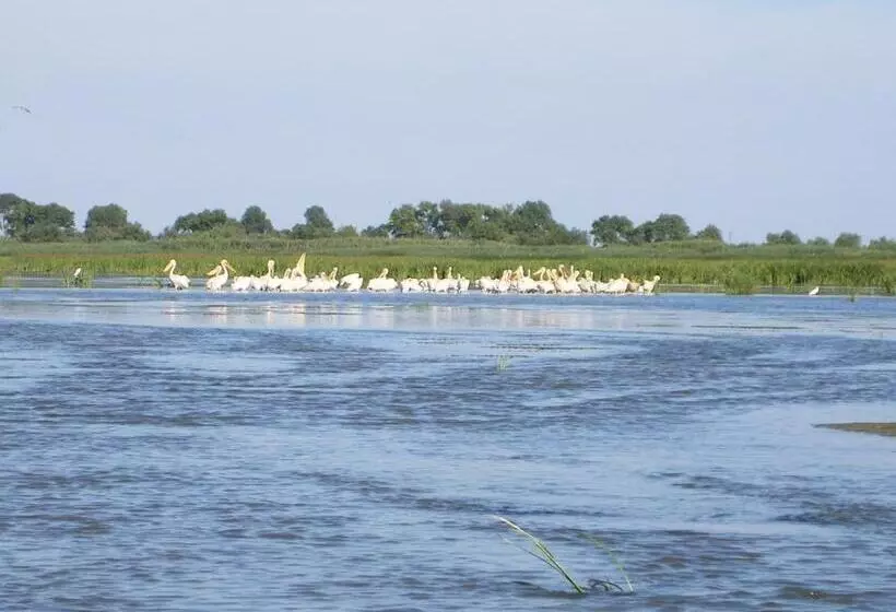Pensiunea Iulia Sulina