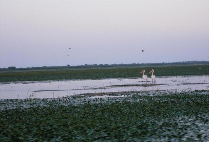 Pensiunea Iulia Sulina