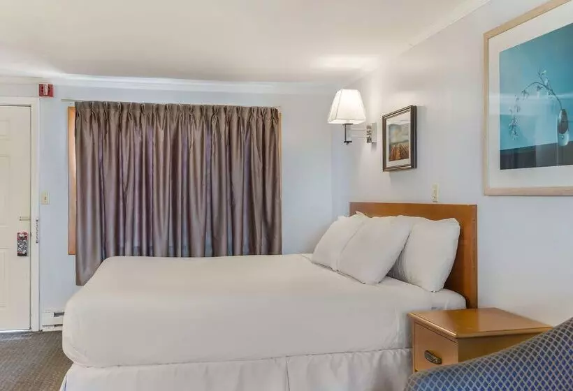 فندق America S Best Value Inn & Suites/hyannis