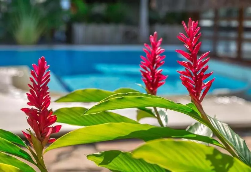 ホテル Capoeira Village