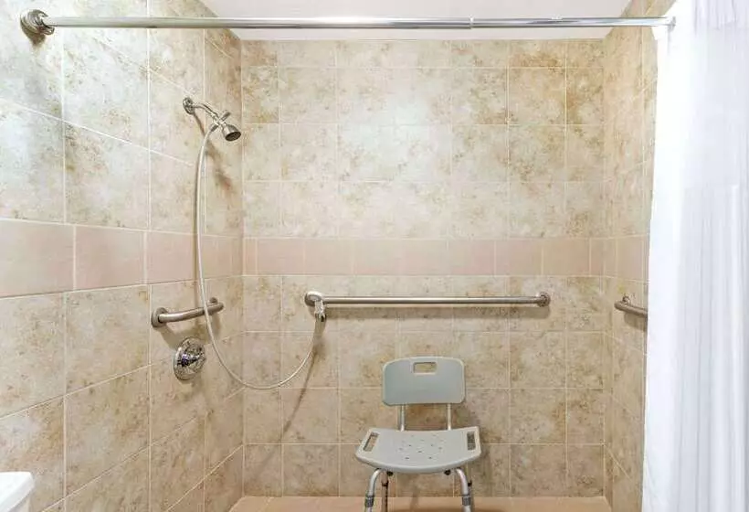 酒店 Days Inn By Wyndham Snyder