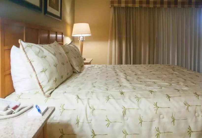 Hotelli Desert Isle Resort