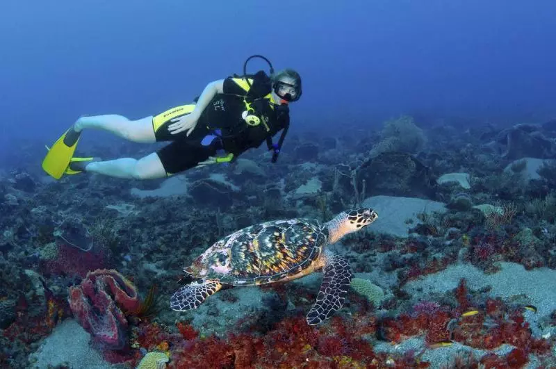 هتل Jade Mountain