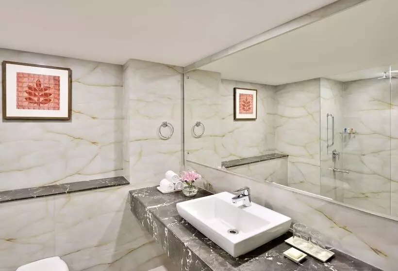 Hotel Radisson Srinagar