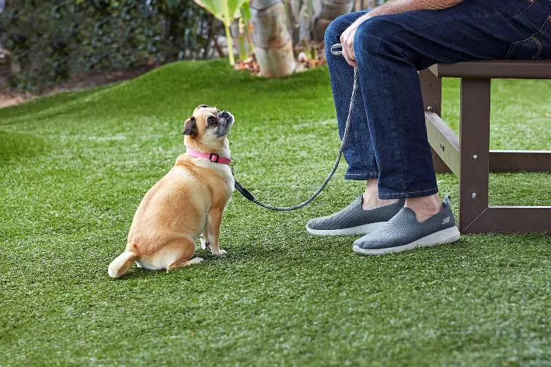 مُتل Surestay Hotel By Best Western San Diego Pacific Beach