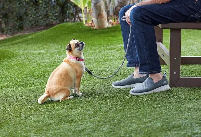 مُتل Surestay Hotel By Best Western San Diego Pacific Beach