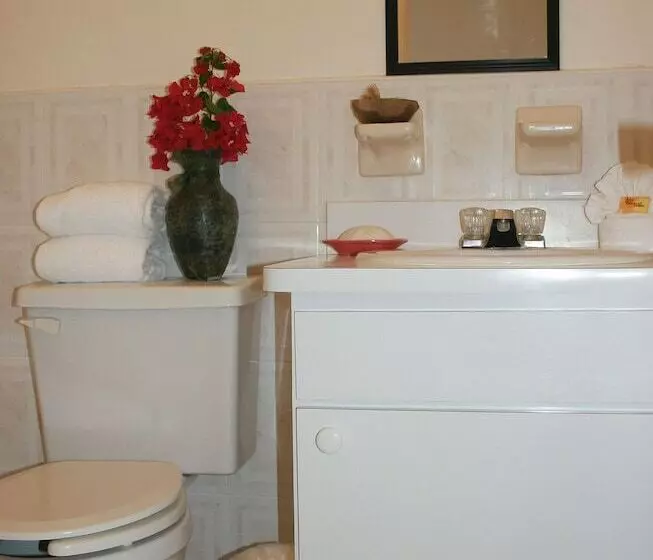 Ocean Pearl Bonefishing Resort