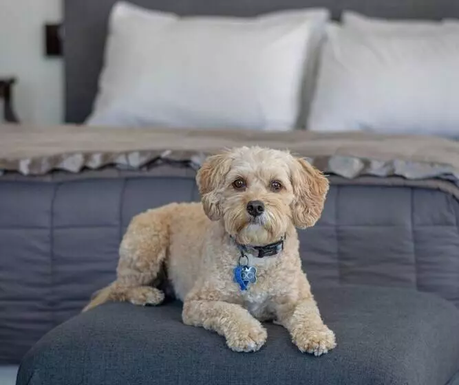 The Terrace Villas Serviced Apartments