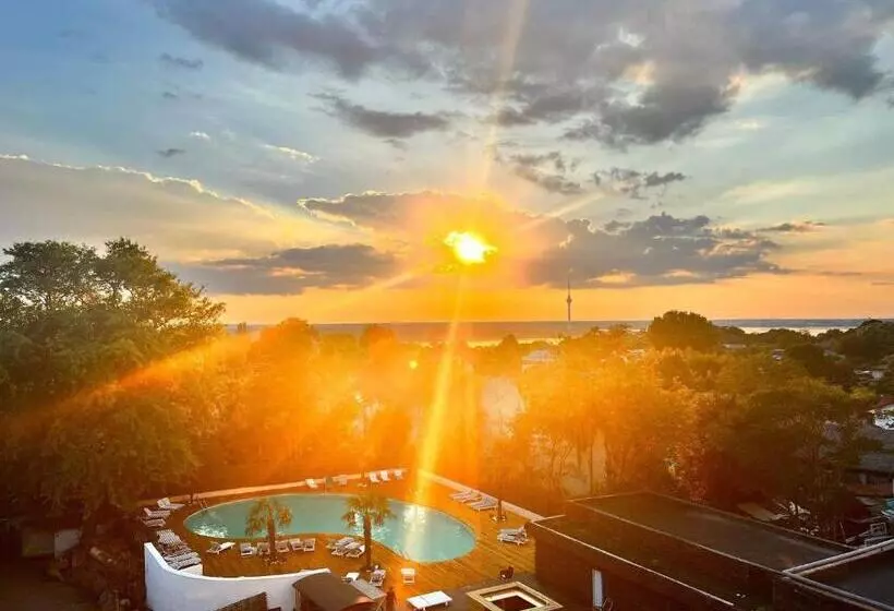 Hotel Mojo Resort