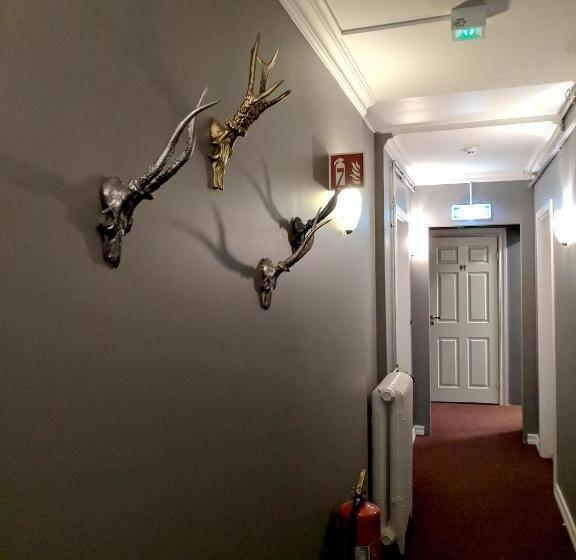 پانسیون Downtown Guesthouse Reykjavik