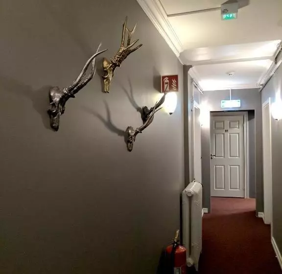 پانسیون Downtown Guesthouse Reykjavik