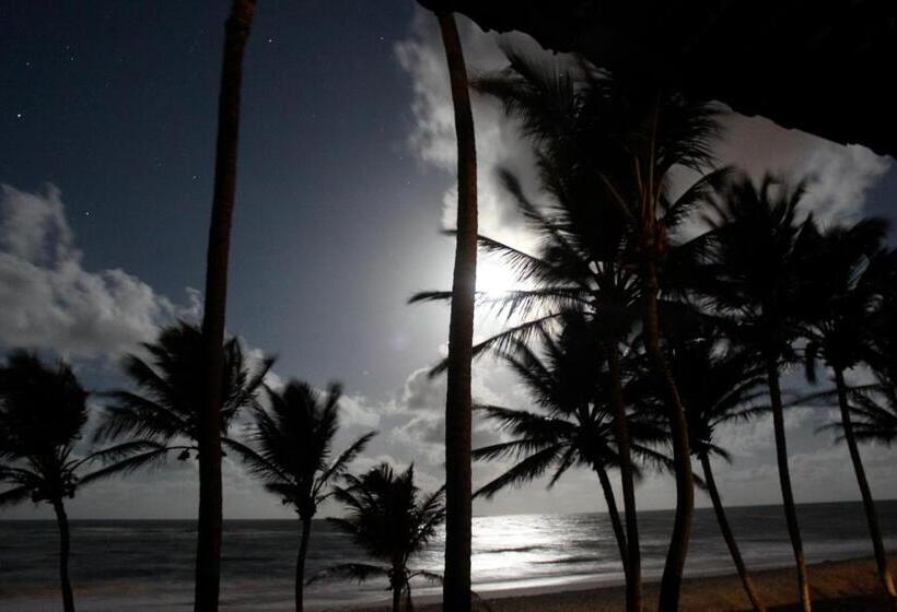 Bed & Breakfast Itacupa   Healthy Vegan & Foil Center