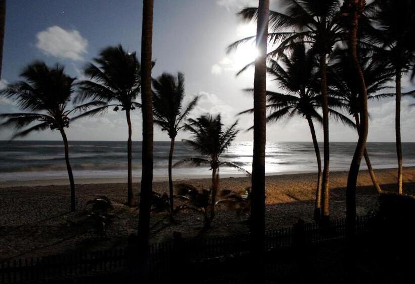 Bed & Breakfast Itacupa   Healthy Vegan & Foil Center