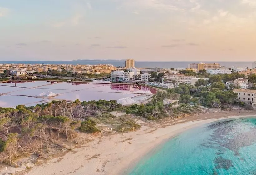 ホテル Apartamentos Andreas