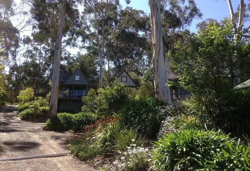 Great Ocean Road Cottages