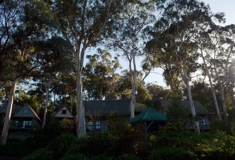 Great Ocean Road Cottages