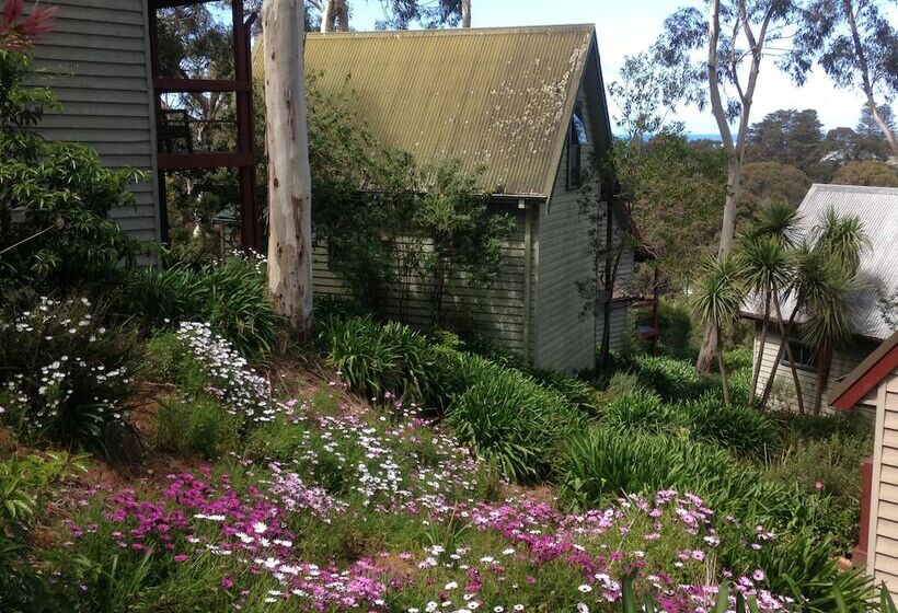Great Ocean Road Cottages