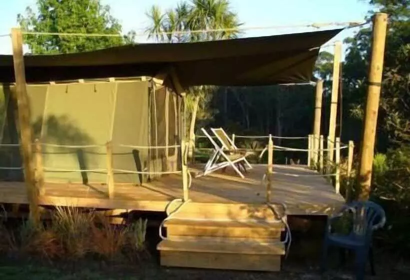هتل Pagoda Lodge