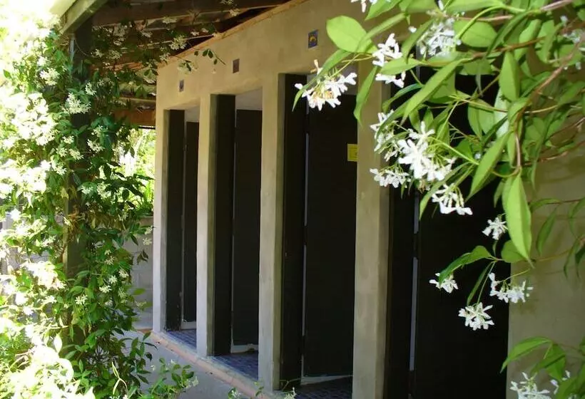 هتل Pagoda Lodge
